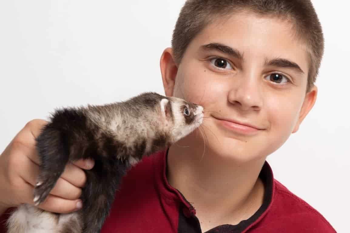 15 Best Small Pets That Like to Cuddle The Pet Savvy