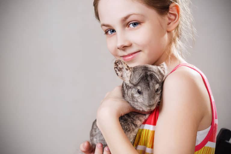 21 Best Pets For Kids (By Age Range) The Pet Savvy