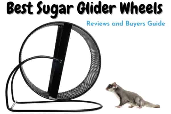 best sugar glider wheels