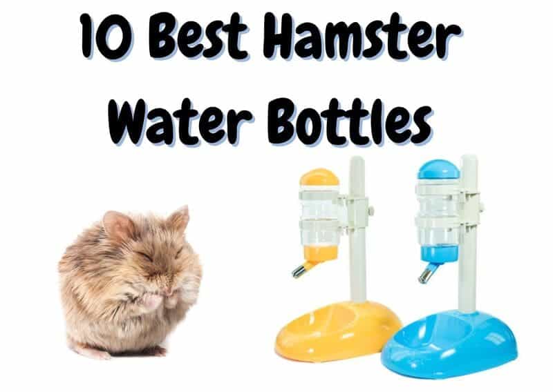 best hamster water bottles