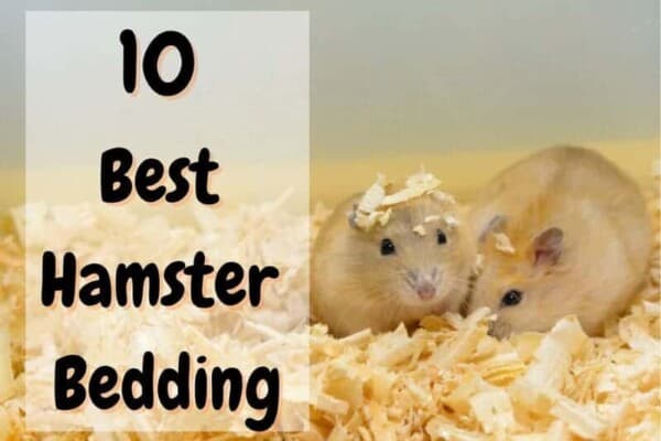 best hamster bedding