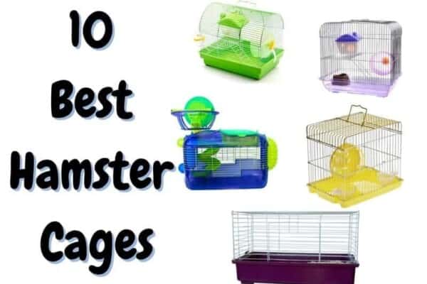 best hamster cages