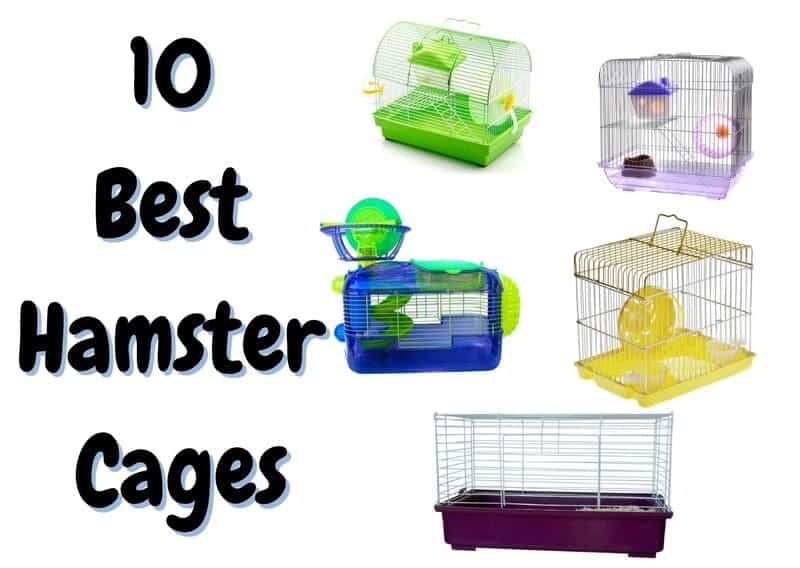 best hamster cages