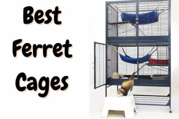 Best Ferret Cages