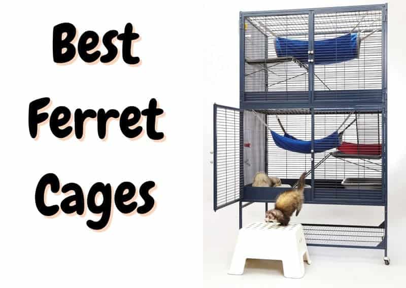 Best Ferret Cages