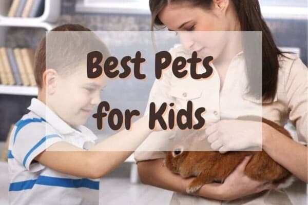 21 Best Pets For Kids (By Age Range)