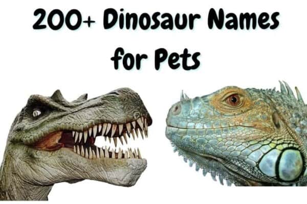 dinosaur names for pets