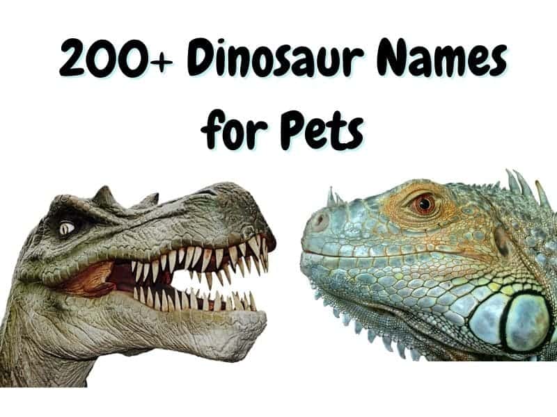 dinosaur names for pets