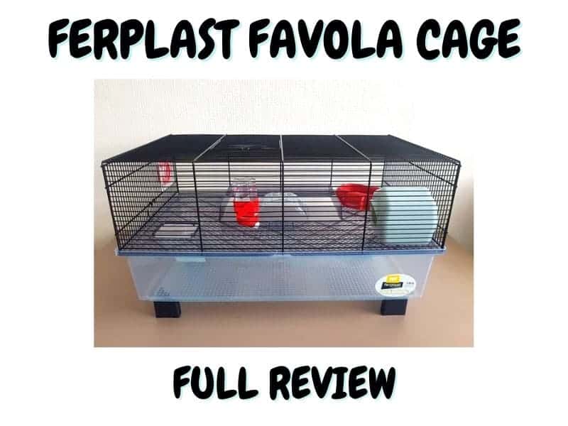ferplast favola cage review
