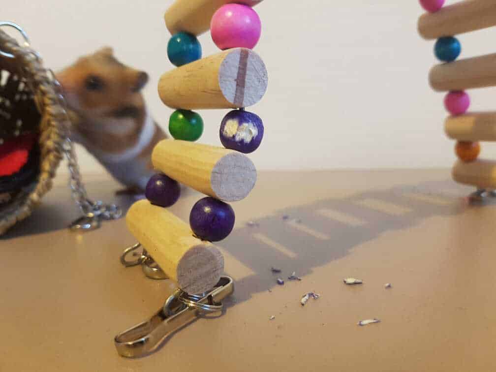 hamster playing with cage toy accessories