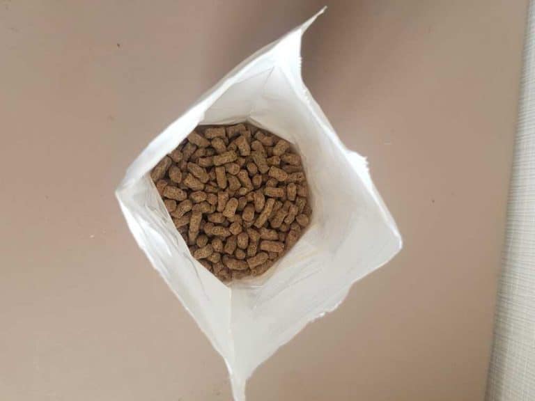 10 Best Hamster Foods (2023 Guide) The Pet Savvy