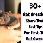 30+ Breeders share their best tips