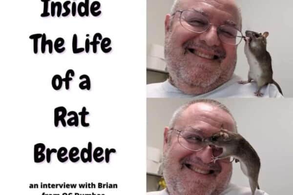 Brian From OC Dumbos Tells Us What It’s Like To Be a Rat Breeder