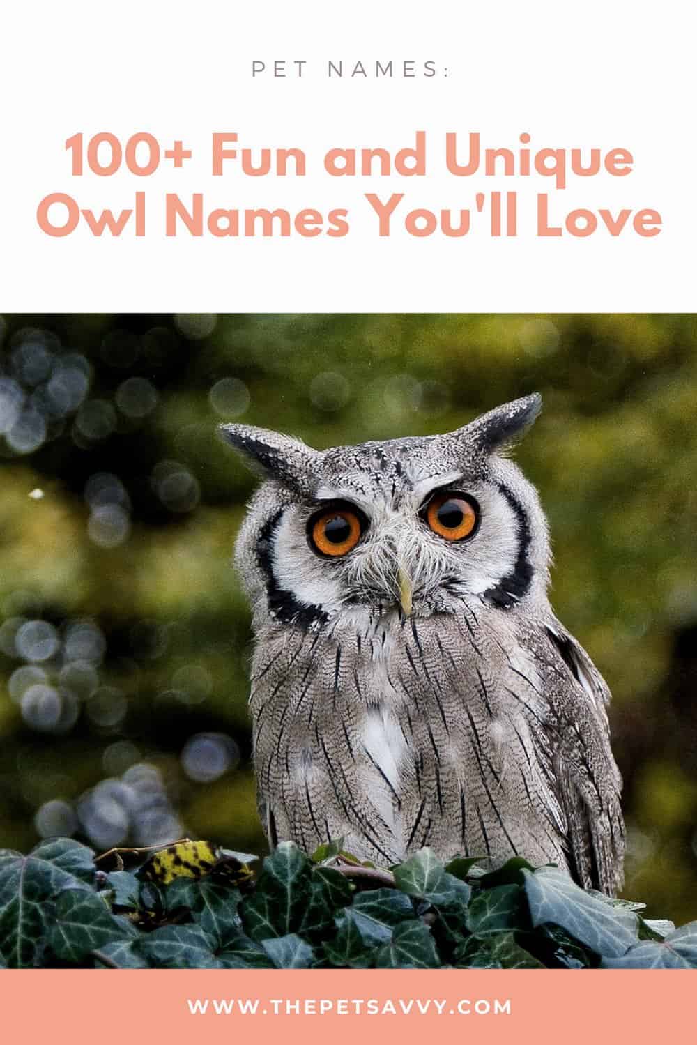 Owl Names Pin